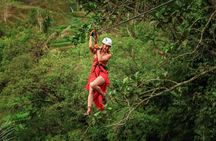 Half Day Ubud Tour with Zipline, Rice Terrace and Monkey Forest