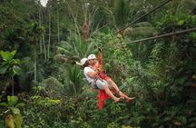 Half Day Ubud Tour with Zipline, Rice Terrace and Monkey Forest