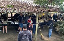 Ba Vi Getaway half-day tour from Hanoi