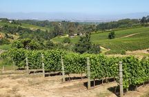 Cheetah and Wine Tour from Cape Town with Hotel Pickup and Return