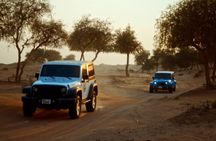 Dubai Desert Safari; ATV, Jeep, Dune Bashing, BBQ, Live Show