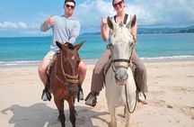 Conchal Beach Horseback Riding - 1hr 30min Guided Tour