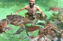 Mnemba Snorkeling Atoll With Swimming with Turtle & Kendwa beach