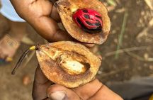 Spice Farm And Prison Island Tour With Swahili Lunch