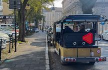 Krakow: Old Town Sightseeing by Golf Cart and Wawel Castle Guided Tour