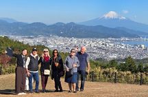 All-about Mt.Fuji Short Tour from Shimizu Port