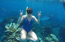 Private Sky Snorkeling Tour
