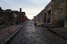 2H Group Tour + ticket of Pompeii & Herculaneum UNESCO sites