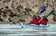 Darwin Experience: Patagonia 4x4 and Kayak Adventure with Food