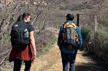 Day Trip to Imlil: Discover the High Atlas Mountains