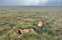 2 Days of Budget Safari to Tarangire and Ngorongoro