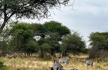 2 Days of Budget Safari to Tarangire and Ngorongoro