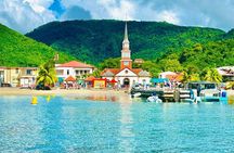 Speed Boat Dolphins and Turtles Full Day