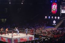Lucha Libre in Mexico City with Taco Dinner