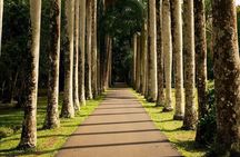 Explore the North Of Mauritius and Visit to Odysseo and Lunch 