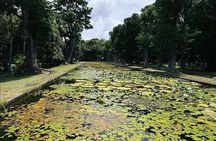 Explore the North Of Mauritius and Visit to Odysseo and Lunch 