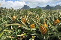 Off-Road ATV & Ziplines Adventure