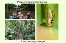 Package of 3 excursions in Tortuguero (Canoa, viewpoint, hike)