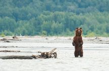 Semi Private Eagle Preserve Rafting Alaska Wildlife Adventure