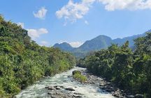Mindo Cloud Forest Birdwatching & Photography - Private Day Tour