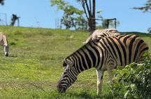 Visit Hacienda Naples Theme Park by Pablo Escobar