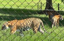 Visit Hacienda Naples Theme Park by Pablo Escobar