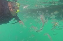 Snorkeling Tour on Macuco Island With Underwater Photos by Zimbros Ecotour