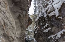 Lake Louise, Peyto Lake, Banff & More – Premium Tour(Best Seller)