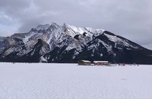 Lake Louise, Peyto Lake, Banff & More – Premium Tour(Best Seller)