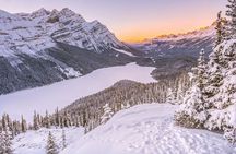 Lake Louise, Peyto Lake, Banff & More – Premium Tour(Best Seller)
