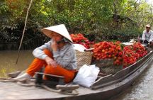 Private Mekong Delta and Saigon City Highlights