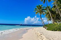 A Magical Day on Saona Island 