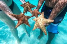 A Magical Day on Saona Island