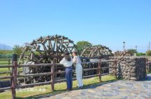YokaBus Fukuoka Cherry Blossom Famous Spots and Night Sakura Tour