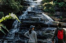 Blue Mountain Half Day Tour (small Grp) & Worlds Steepest Railway