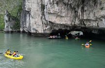Halong Bay Day Cruise with Lunch and Activities