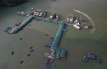 Halong Bay Day Cruise with Lunch and Activities