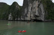 Halong Bay Day Cruise with Lunch and Activities