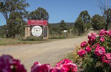 Sydney: Private Hunter Valley All-Inclusive Wine & Food Tour