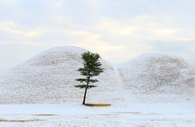 Gyeongju UNESCO World Heritage Guided Day Tour from Busan