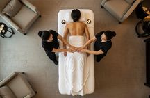 Niseko Professional Oil Treatment Immersive Zen Journey