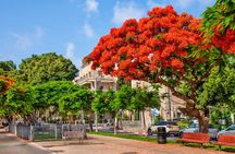 Florentin, Tel Aviv Saturday Morning Tour