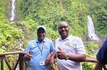 Dominica Roseau City and Rainforest Tour