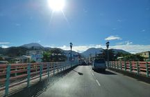 Dominica Roseau City and Rainforest Tour