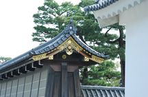 Nijo Castle and Garden 2 Hour Guided Experience in Kyoto