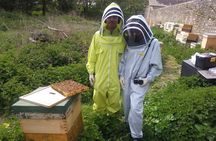 Bee a Beekeeper - Experience the Buzz