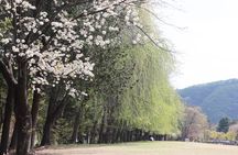 Private Guided Tour For Nami Alpaca Rail bike and Seoraksan