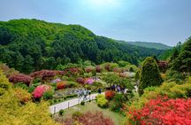 Private Guided Tour For Nami Alpaca Rail bike and Seoraksan