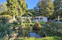 Tour Accompanied by the Historic Center of Padua