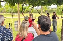 Many Tastings in 3 Wineries and 1 Olive Tree